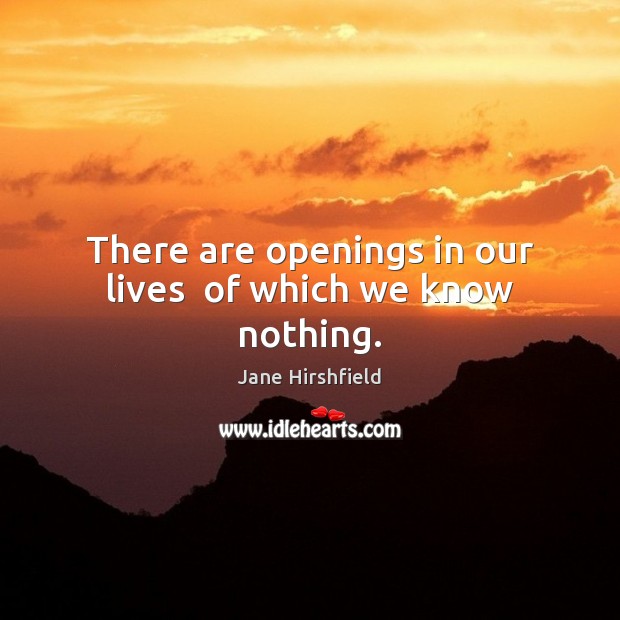 There are openings in our lives  of which we know nothing. Jane Hirshfield Picture Quote