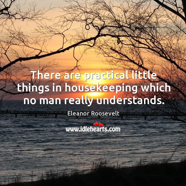 There are practical little things in housekeeping which no man really understands. Eleanor Roosevelt Picture Quote
