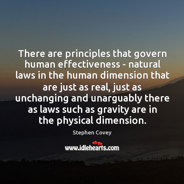 There are principles that govern human effectiveness – natural laws in the Stephen Covey Picture Quote