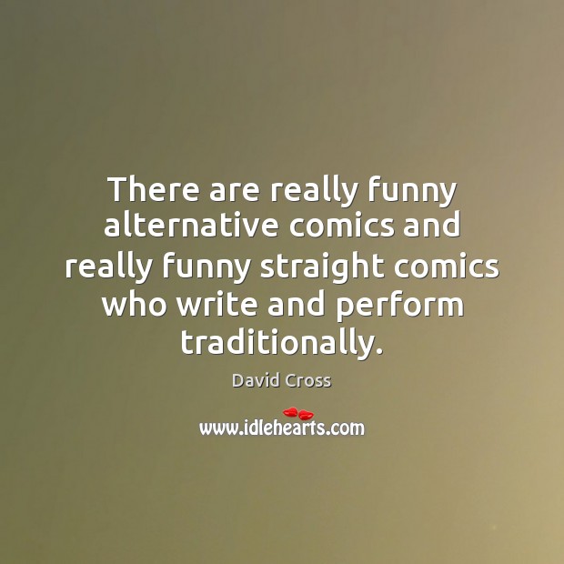 There are really funny alternative comics and really funny straight comics who David Cross Picture Quote