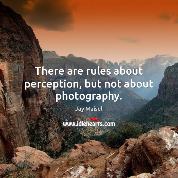 There are rules about perception, but not about photography. Jay Maisel Picture Quote