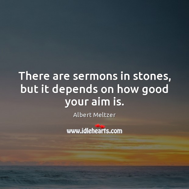 There are sermons in stones, but it depends on how good your aim is. Albert Meltzer Picture Quote