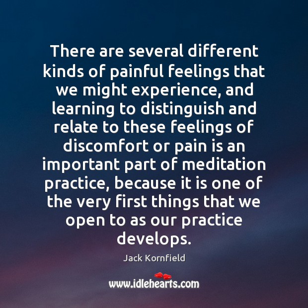 There are several different kinds of painful feelings that we might experience, Jack Kornfield Picture Quote