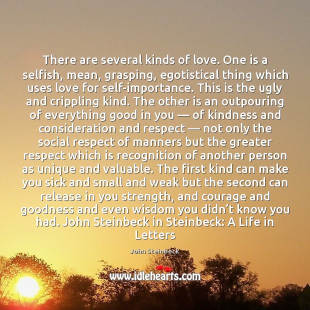 There are several kinds of love. One is a selfish, mean, grasping, John Steinbeck Picture Quote