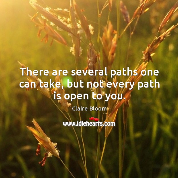 There are several paths one can take, but not every path is open to you. Image