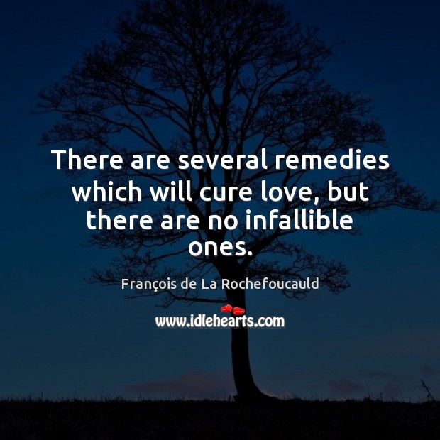 There are several remedies which will cure love, but there are no infallible ones. François de La Rochefoucauld Picture Quote
