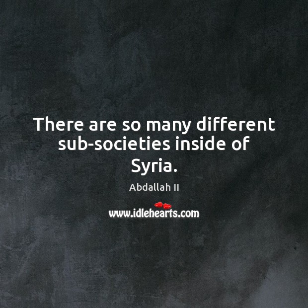There are so many different sub-societies inside of Syria. Abdallah II Picture Quote