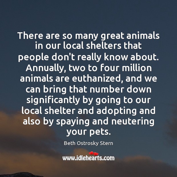 There are so many great animals in our local shelters that people 