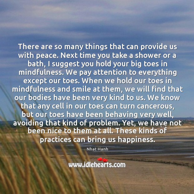 There are so many things that can provide us with peace. Next Nhat Hanh Picture Quote