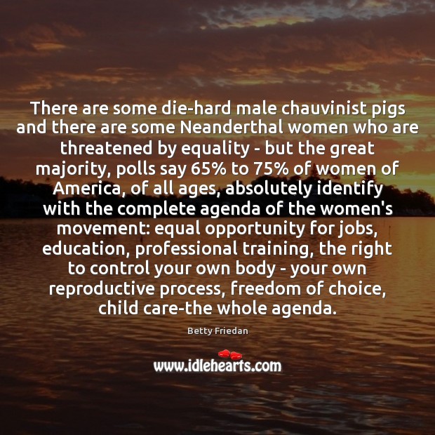 There are some die-hard male chauvinist pigs and there are some Neanderthal Betty Friedan Picture Quote