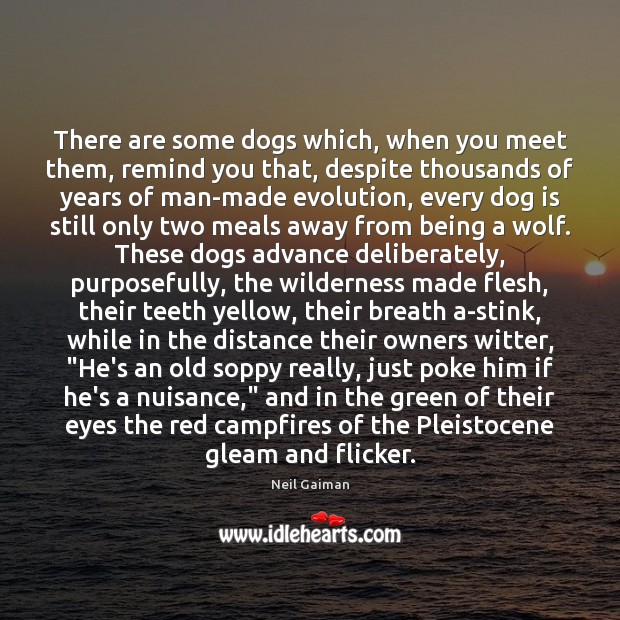 There are some dogs which, when you meet them, remind you that, Neil Gaiman Picture Quote