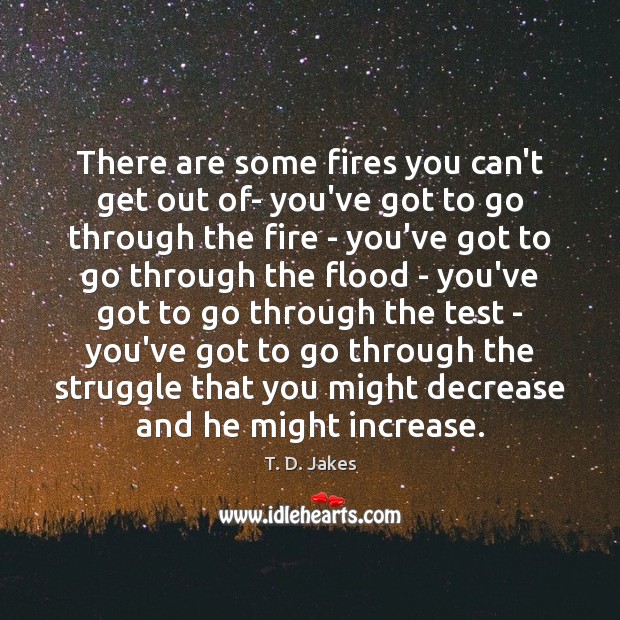There are some fires you can’t get out of- you’ve got to T. D. Jakes Picture Quote