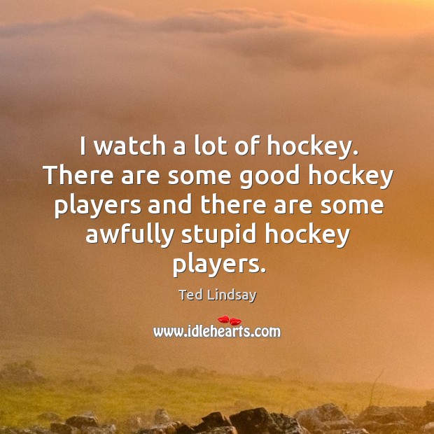 There are some good hockey players and there are some awfully stupid hockey players. Ted Lindsay Picture Quote