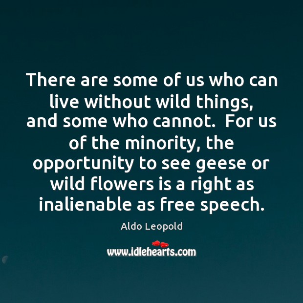 There are some of us who can live without wild things, and Aldo Leopold Picture Quote