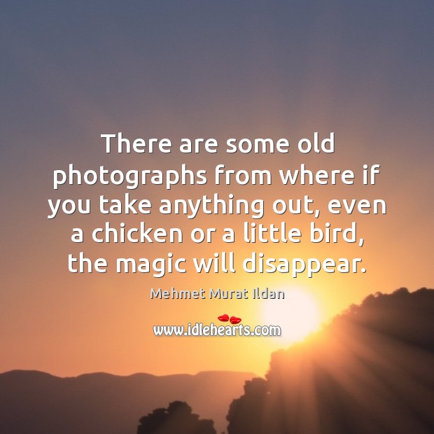 There are some old photographs from where if you take anything out, Mehmet Murat Ildan Picture Quote