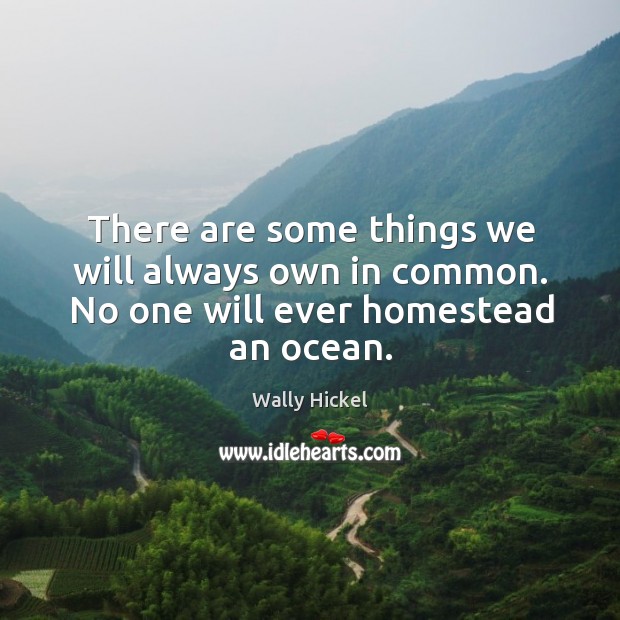 There are some things we will always own in common. No one will ever homestead an ocean. Wally Hickel Picture Quote
