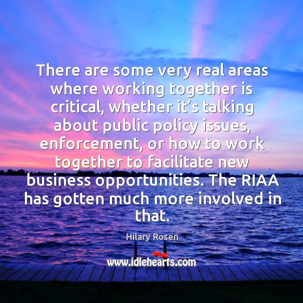 There are some very real areas where working together is critical, whether it’s talking about public policy issues Hilary Rosen Picture Quote