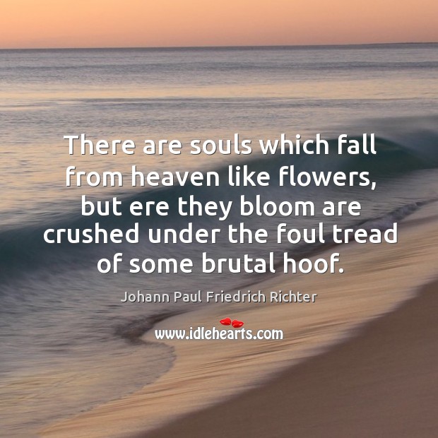 There are souls which fall from heaven like flowers, but ere they bloom are crushed under the foul tread of some brutal hoof. Johann Paul Friedrich Richter Picture Quote