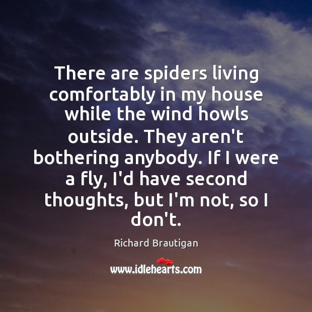 There are spiders living comfortably in my house while the wind howls Richard Brautigan Picture Quote