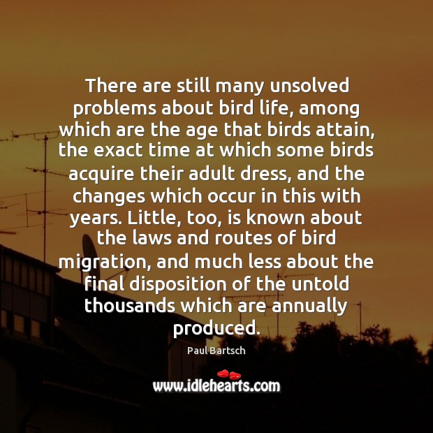 There are still many unsolved problems about bird life, among which are Paul Bartsch Picture Quote