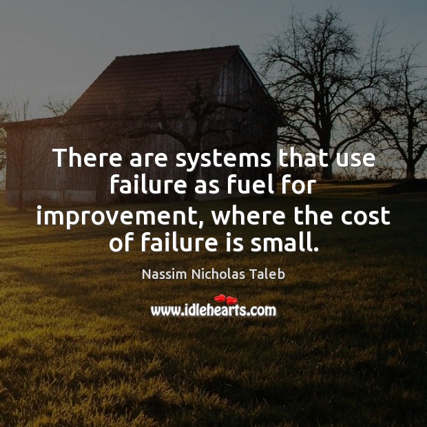 There are systems that use failure as fuel for improvement, where the Nassim Nicholas Taleb Picture Quote