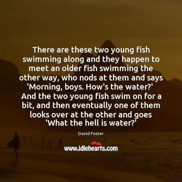 There are these two young fish swimming along and they happen to David Foster Picture Quote