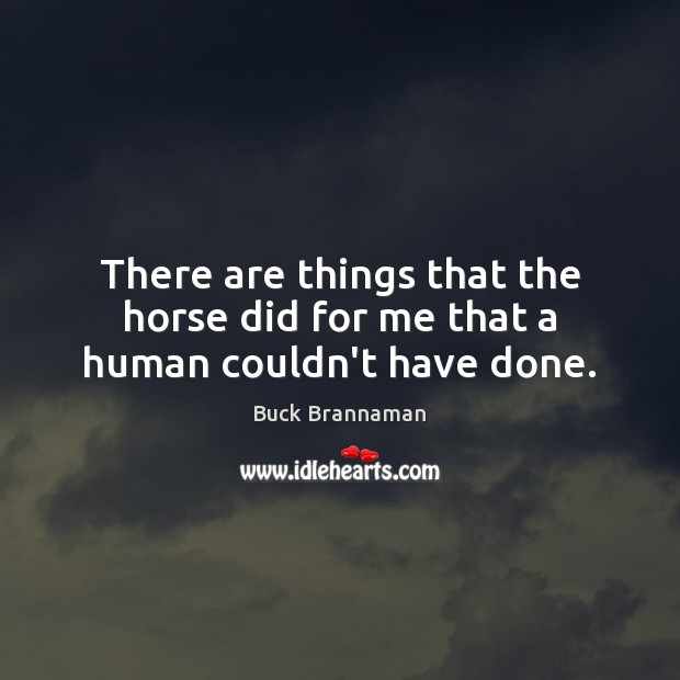 There are things that the horse did for me that a human couldn’t have done. Image