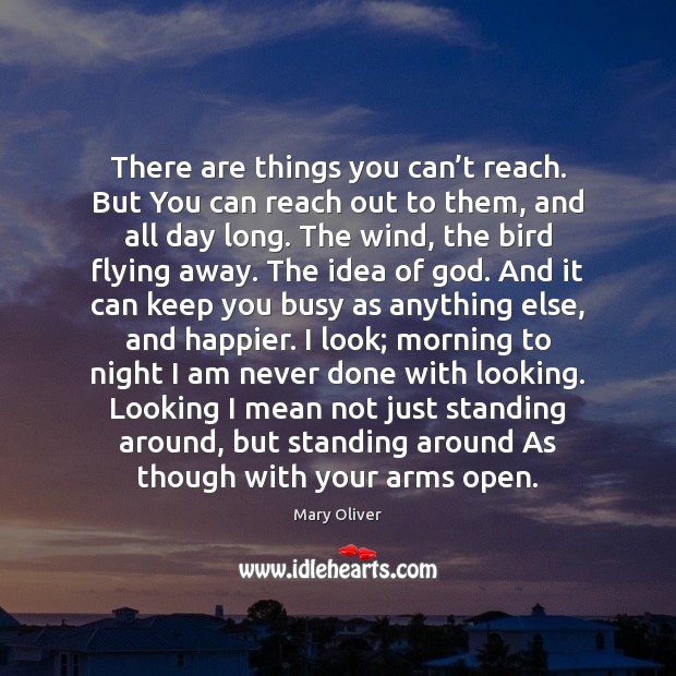 There are things you can’t reach. But You can reach out Mary Oliver Picture Quote