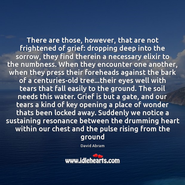 There are those, however, that are not frightened of grief: dropping deep David Abram Picture Quote