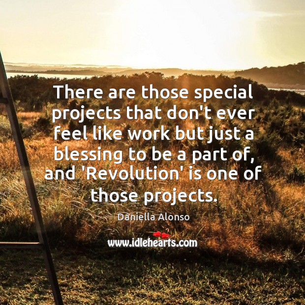 There are those special projects that don’t ever feel like work but Daniella Alonso Picture Quote