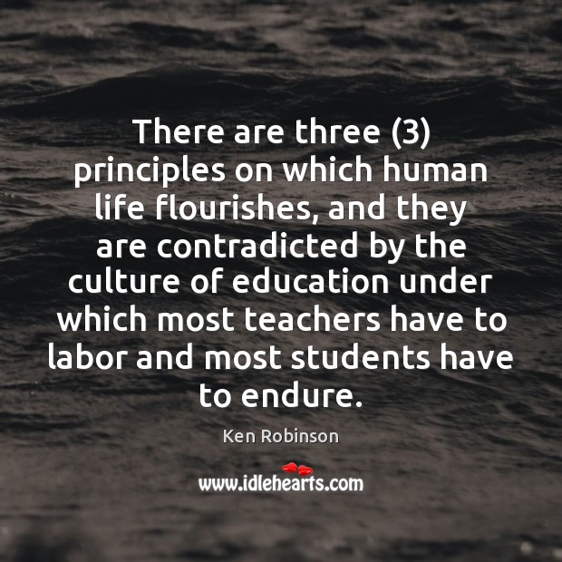 There are three (3) principles on which human life ﬂourishes, and they are Ken Robinson Picture Quote