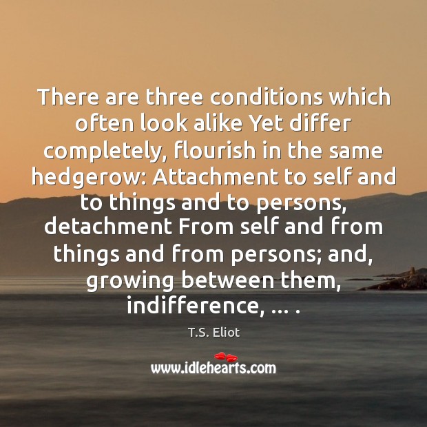 There are three conditions which often look alike Yet differ completely, flourish Image