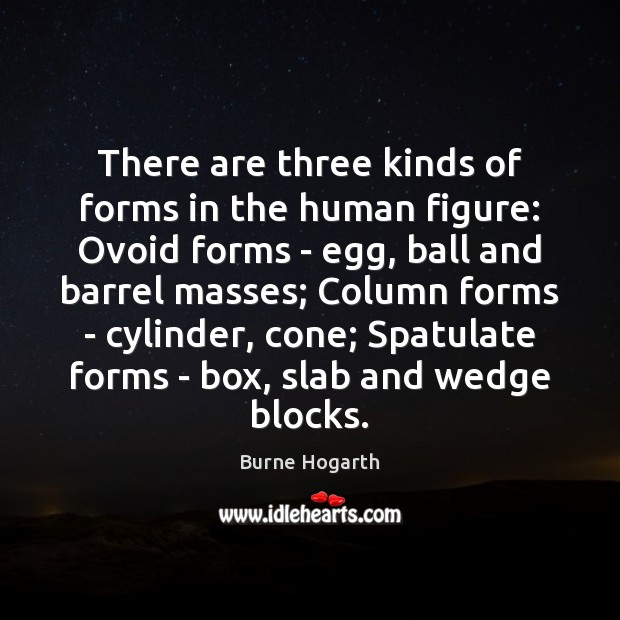 There are three kinds of forms in the human figure: Ovoid forms Image
