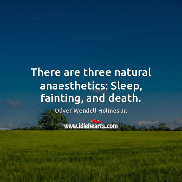 There are three natural anaesthetics: Sleep, fainting, and death. Oliver Wendell Holmes Jr. Picture Quote
