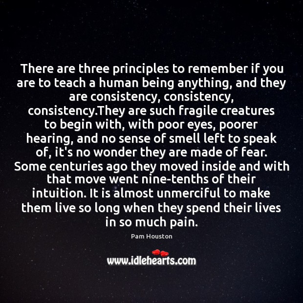 There are three principles to remember if you are to teach a Pam Houston Picture Quote