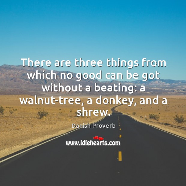 There are three things from which no good can be got without a beating Danish Proverbs Image