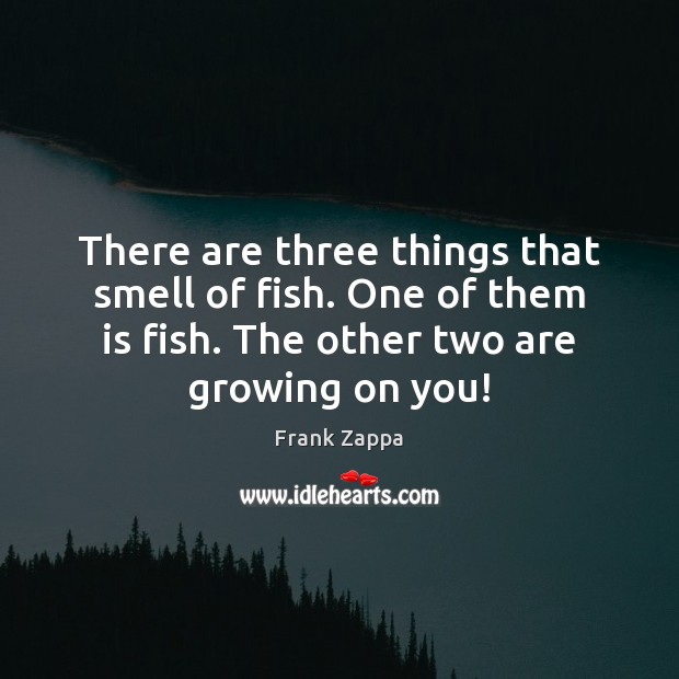 There are three things that smell of fish. One of them is Frank Zappa Picture Quote