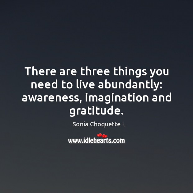 There are three things you need to live abundantly: awareness, imagination and gratitude. Sonia Choquette Picture Quote