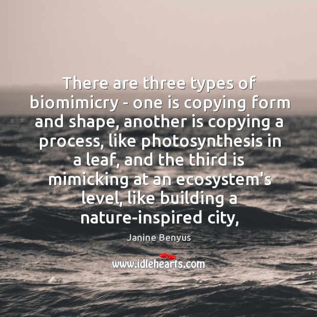 There are three types of biomimicry – one is copying form and 