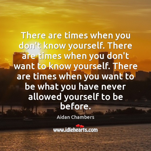 There are times when you don’t know yourself. There are times when Aidan Chambers Picture Quote