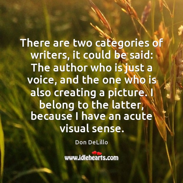 There are two categories of writers, it could be said: The author Don DeLillo Picture Quote