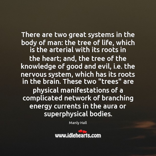 There are two great systems in the body of man: the tree Manly Hall Picture Quote