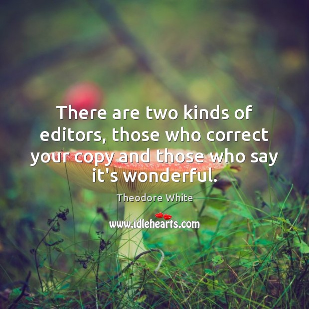 There are two kinds of editors, those who correct your copy and Theodore White Picture Quote