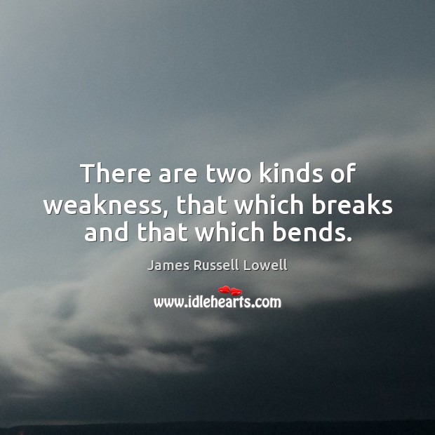 There are two kinds of weakness, that which breaks and that which bends. Image