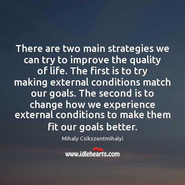 There are two main strategies we can try to improve the quality Mihaly Csikszentmihalyi Picture Quote