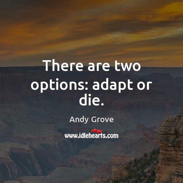 There are two options: adapt or die. Andy Grove Picture Quote