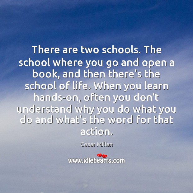 There are two schools. The school where you go and open a Cesar Millan Picture Quote