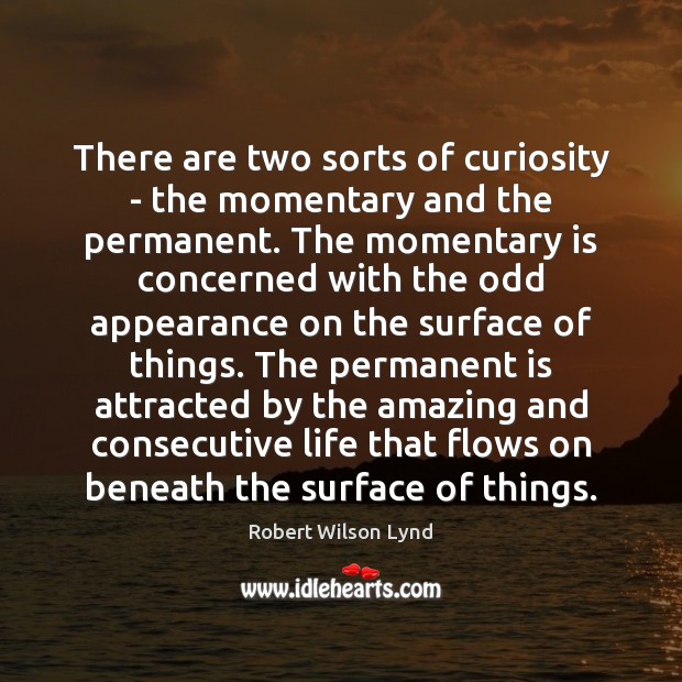 There are two sorts of curiosity – the momentary and the permanent. 