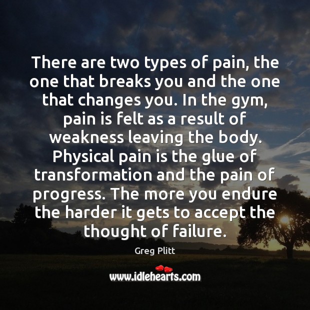 There are two types of pain, the one that breaks you and Greg Plitt Picture Quote