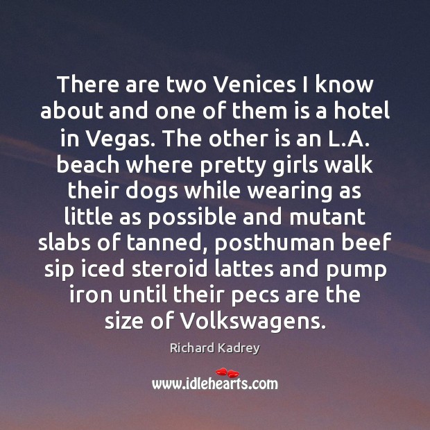 There are two Venices I know about and one of them is Richard Kadrey Picture Quote